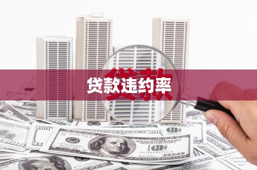 兴城贷款违约率