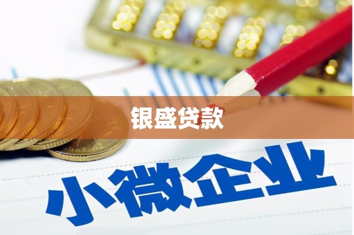 兴城银盛贷款