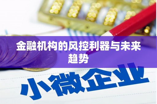 兴城金融机构的风控利器与未来趋势