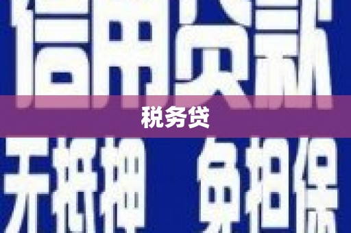 兴城税务贷