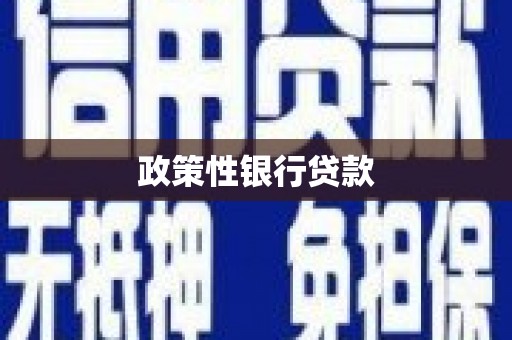 兴城政策性银行贷款