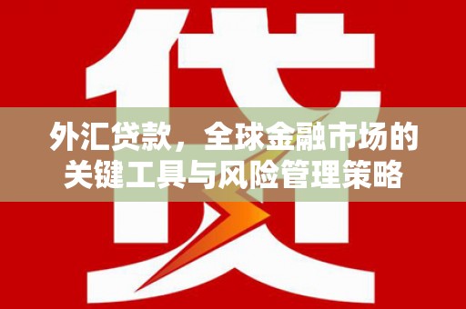 兴城外汇贷款，全球金融市场的关键工具与风险管理策略