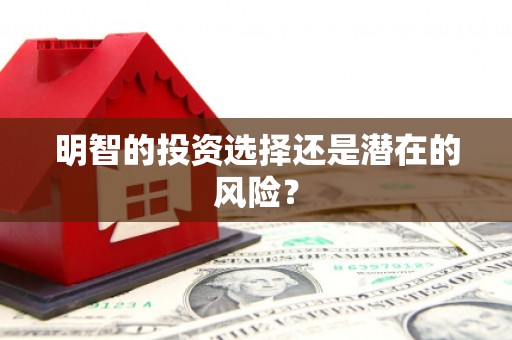兴城明智的投资选择还是潜在的风险？