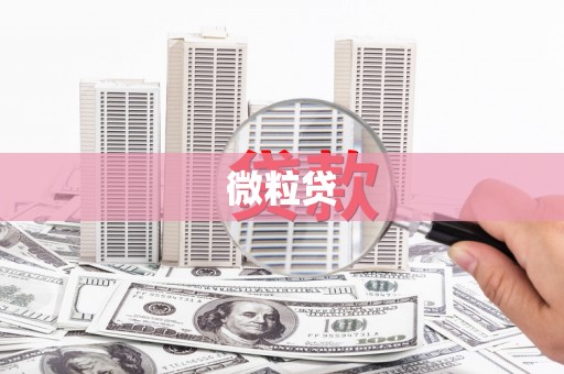 兴城微粒贷