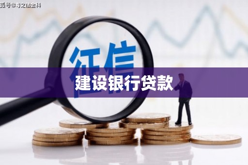 兴城建设银行贷款