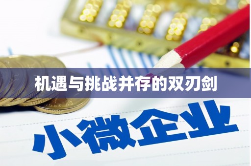 兴城机遇与挑战并存的双刃剑