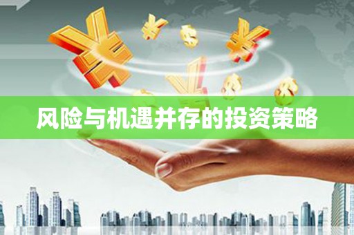兴城风险与机遇并存的投资策略