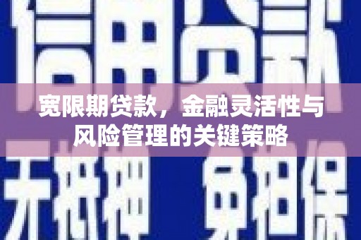 兴城宽限期贷款，金融灵活性与风险管理的关键策略