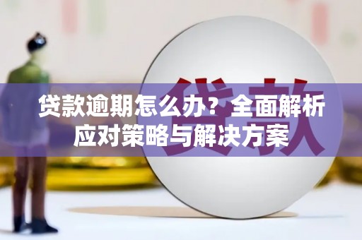 兴城贷款逾期怎么办？全面解析应对策略与解决方案