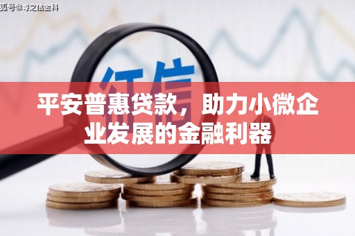 兴城平安普惠贷款，助力小微企业发展的金融利器