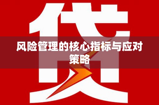 兴城风险管理的核心指标与应对策略