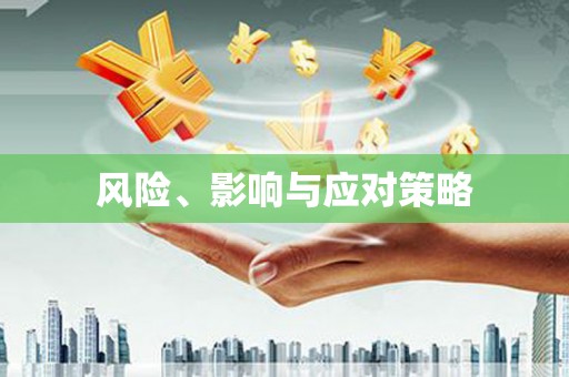 兴城风险、影响与应对策略