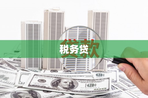 兴城税务贷