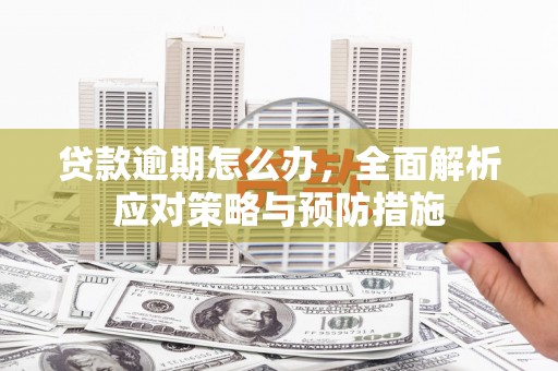 兴城贷款逾期怎么办，全面解析应对策略与预防措施