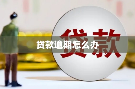 兴城贷款逾期怎么办