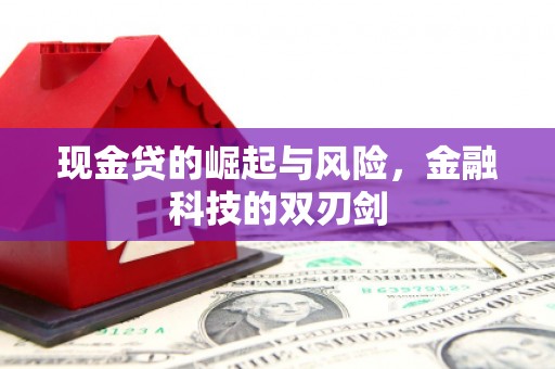兴城现金贷的崛起与风险，金融科技的双刃剑