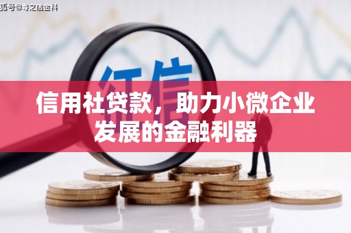 兴城信用社贷款，助力小微企业发展的金融利器