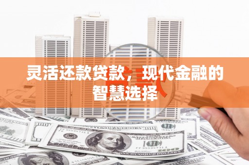 兴城灵活还款贷款，现代金融的智慧选择