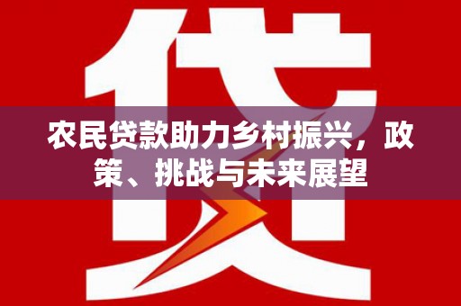 兴城农民贷款助力乡村振兴，政策、挑战与未来展望
