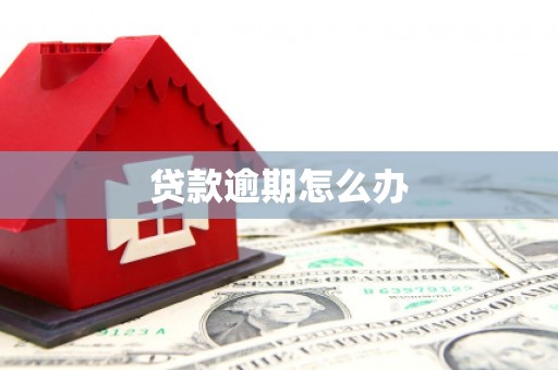 兴城贷款逾期怎么办