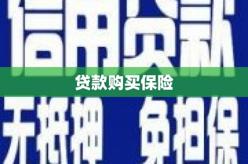 兴城贷款购买保险