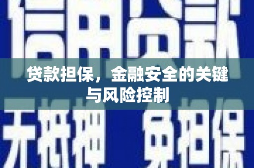 兴城贷款担保，金融安全的关键与风险控制