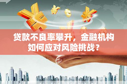 兴城贷款不良率攀升，金融机构如何应对风险挑战？