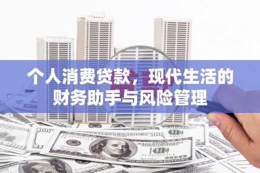 兴城个人消费贷款，现代生活的财务助手与风险管理