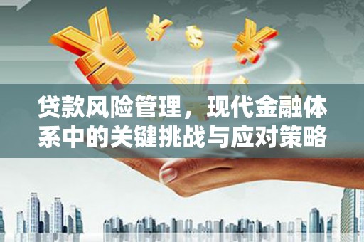 兴城贷款风险管理，现代金融体系中的关键挑战与应对策略