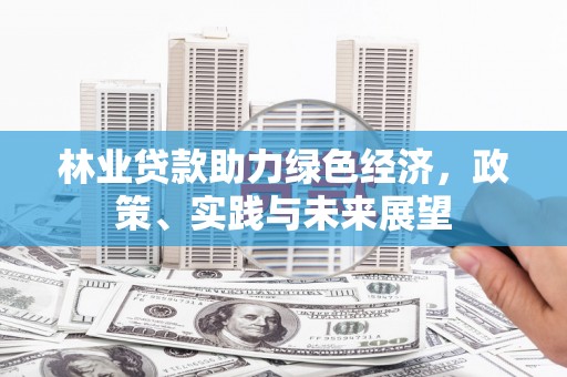 兴城林业贷款助力绿色经济，政策、实践与未来展望