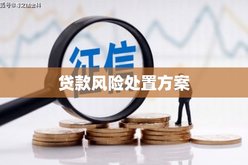兴城贷款风险处置方案