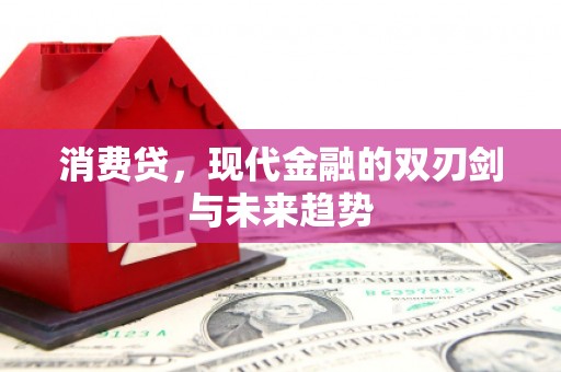 兴城消费贷，现代金融的双刃剑与未来趋势