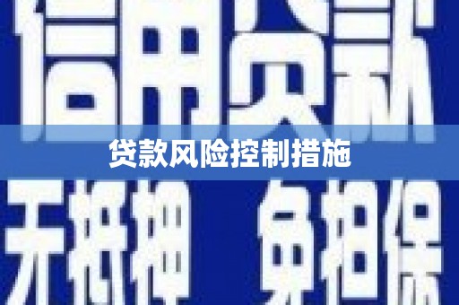 兴城贷款风险控制措施