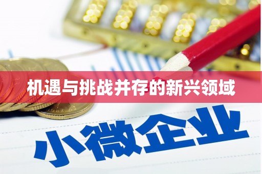 兴城机遇与挑战并存的新兴领域