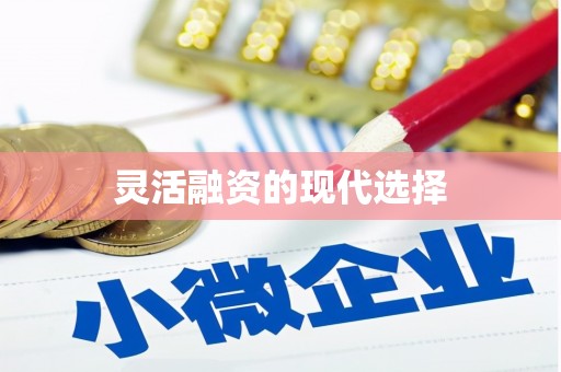 兴城灵活融资的现代选择