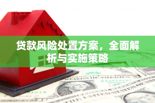 兴城贷款风险处置方案，全面解析与实施策略