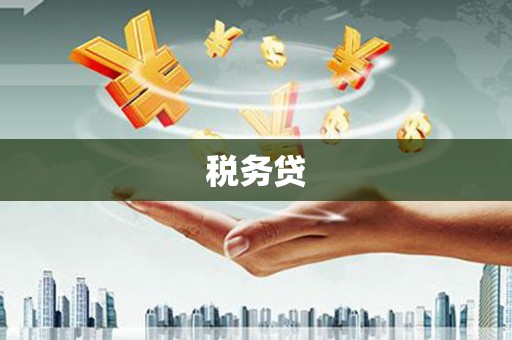兴城税务贷