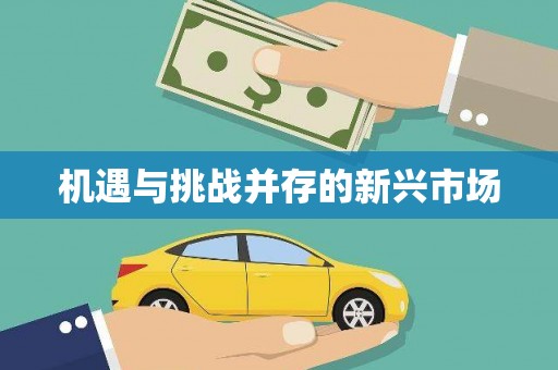 兴城机遇与挑战并存的新兴市场