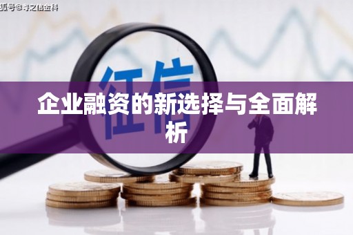 兴城企业融资的新选择与全面解析